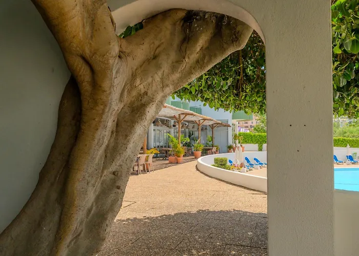 Junto A Com Piscina. * 波尔蒂芒